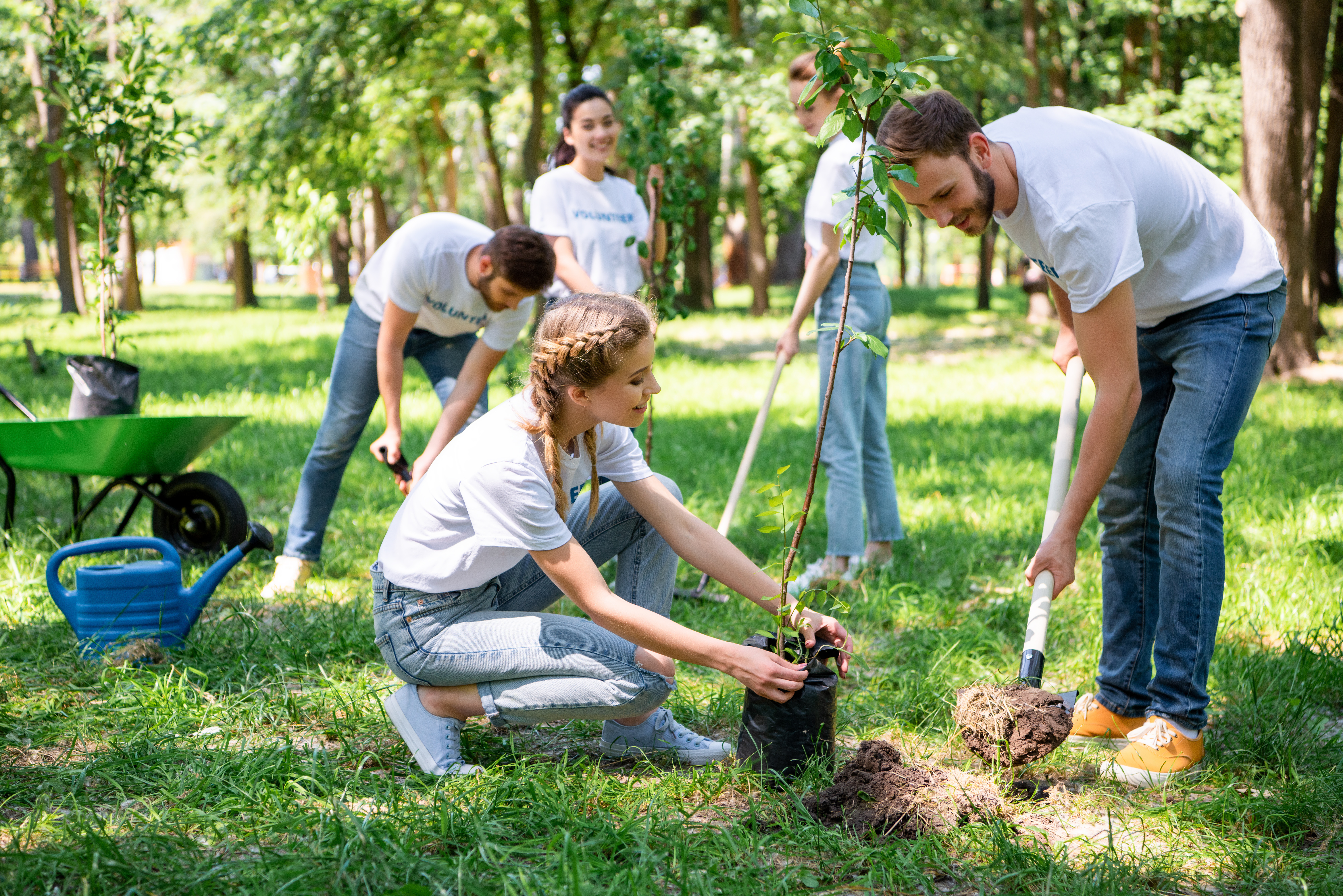 group of people planting trees